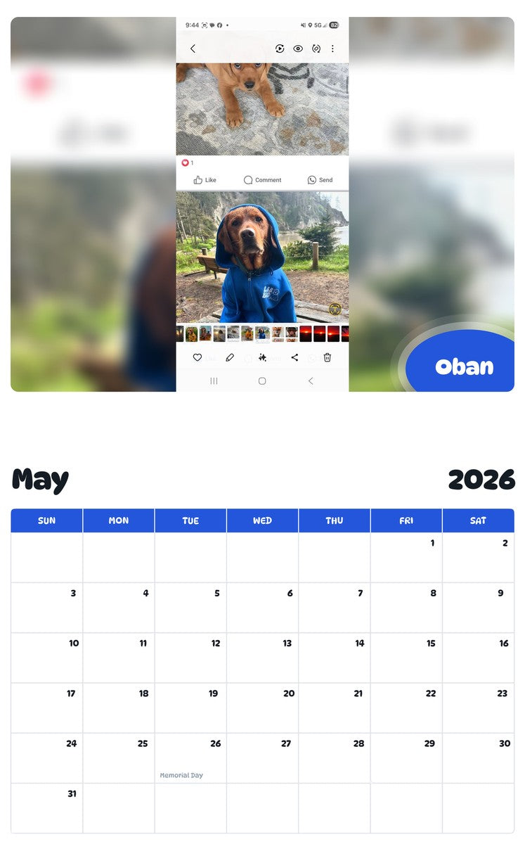 2026 - 2027 Oban - Pawidols Pet Calendar