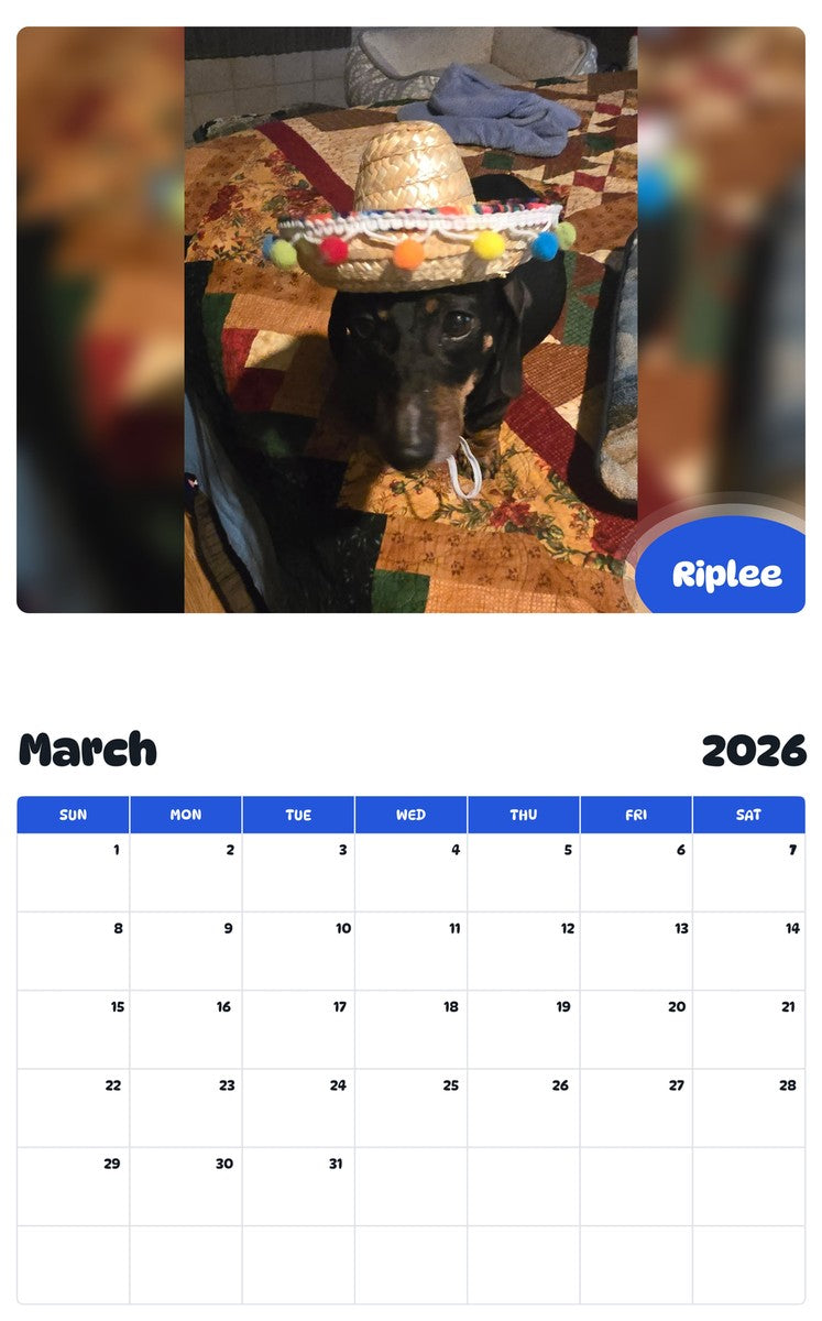 November 2025 - October 2026 Riplee - Pawidols Pet Calendar