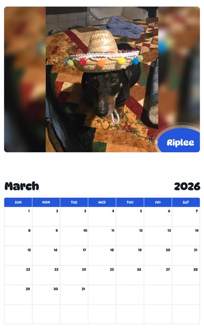 November 2025 - October 2026 Riplee - Pawidols Pet Calendar