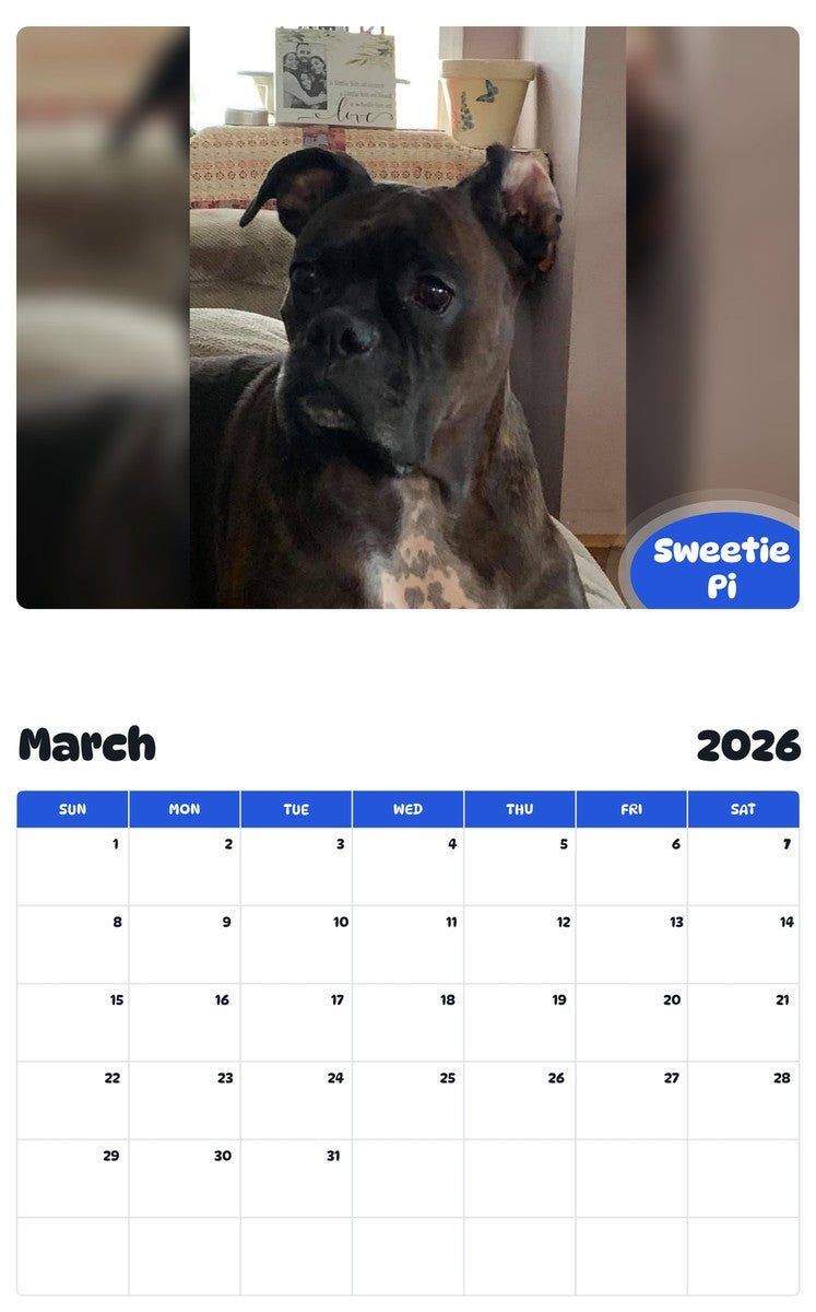 November 2025 - October 2026 Sweetie Pi - Pawidols Pet Calendar