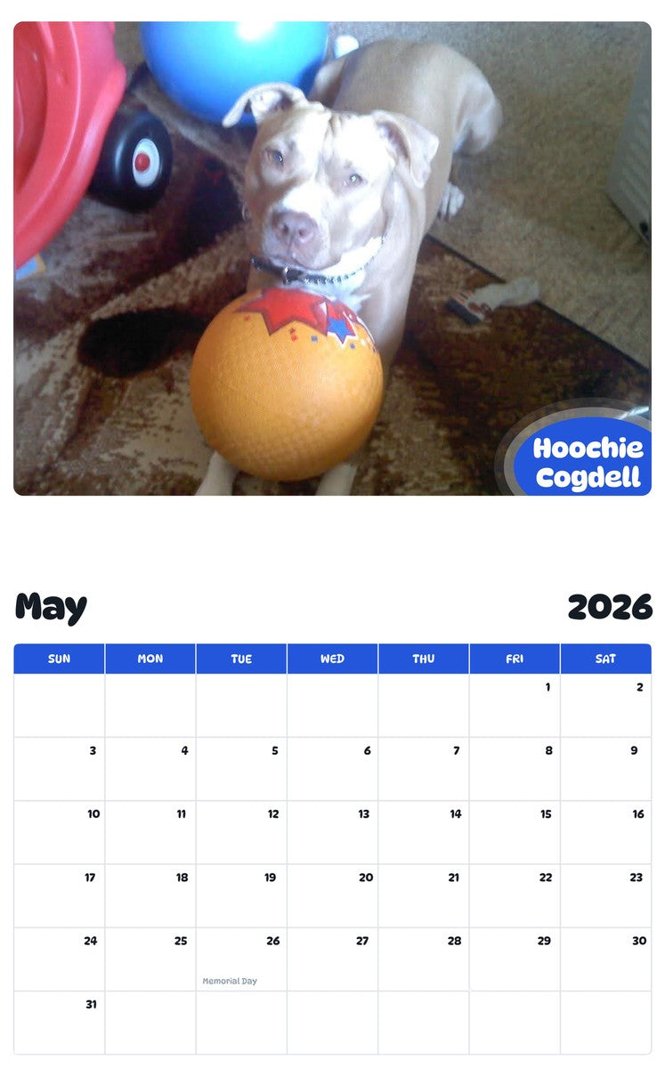 2026 - 2027 Hoochie Cogdell - Pawidols Pet Calendar