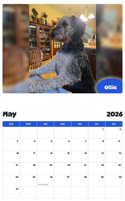 2026 - 2027 Ollie - Pawidols Pet Calendar