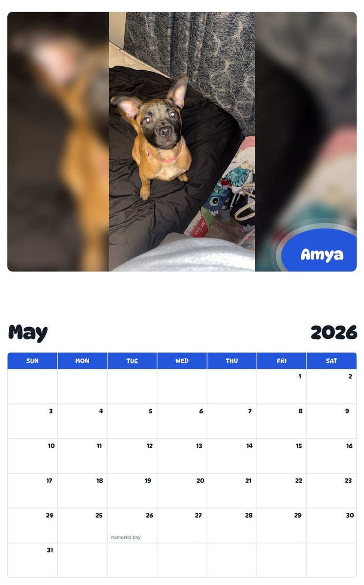 2026 - 2027 Amya - Pawidols Pet Calendar