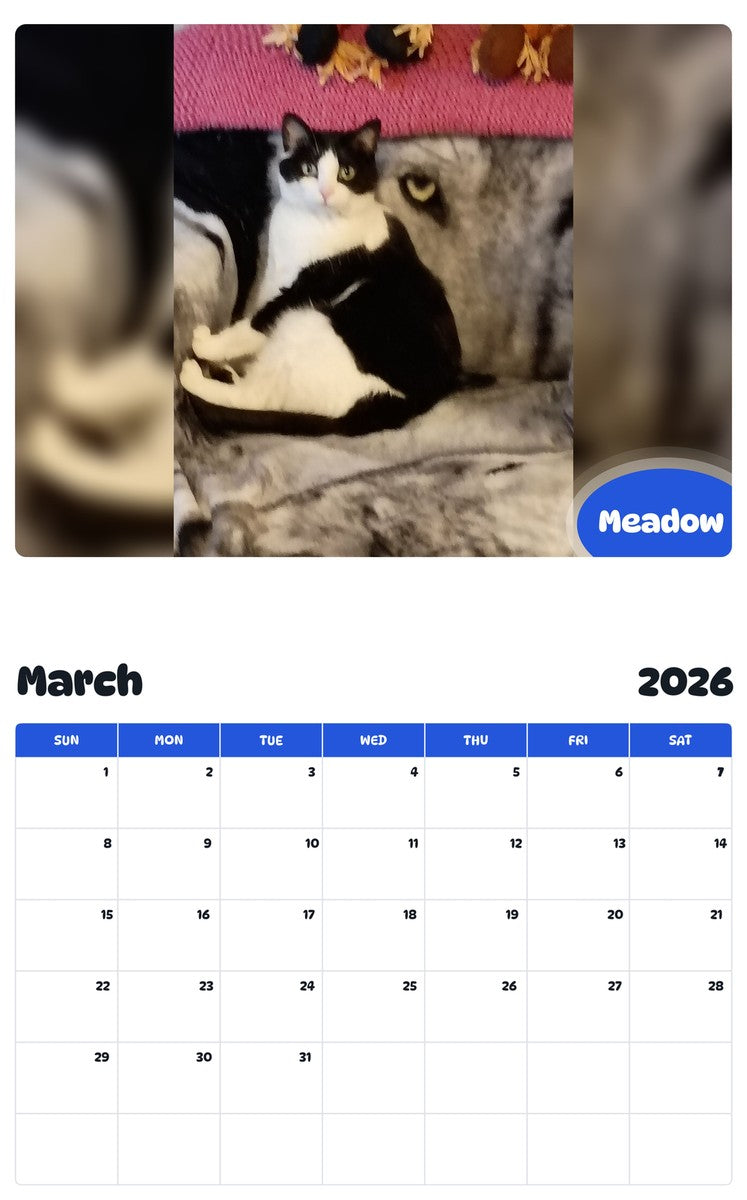 November 2025 - October 2026 Meadow - Pawidols Pet Calendar