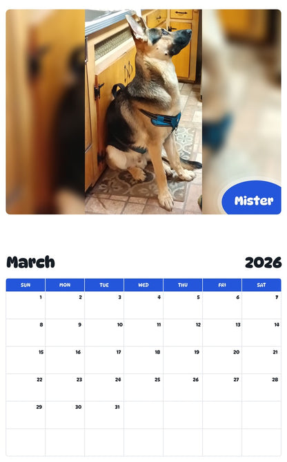 November 2025 - October 2026 Mister - Pawidols Pet Calendar