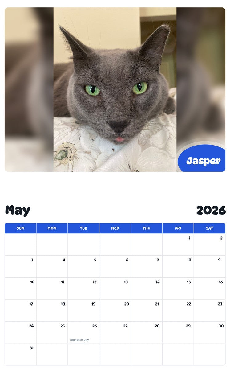 2026 - 2027 Jasper - Pawidols Pet Calendar