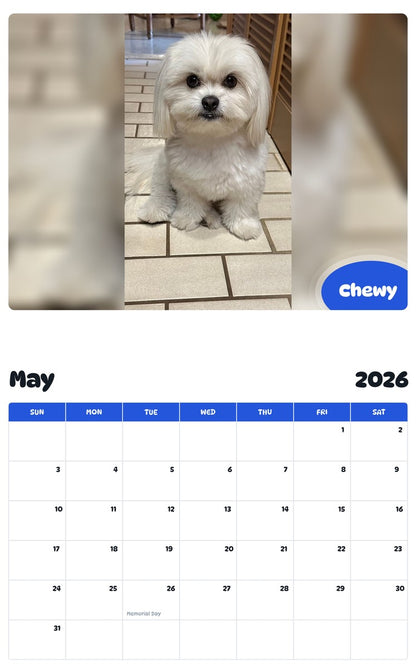 2026 - 2027 Chewy - Pawidols Pet Calendar