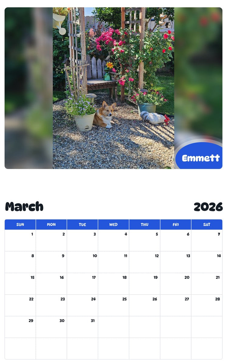 November 2025 - October 2026 Emmett - Pawidols Pet Calendar