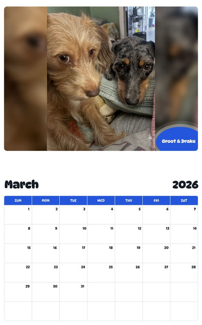 November 2025 - October 2026 Groot & Drake - Pawidols Pet Calendar