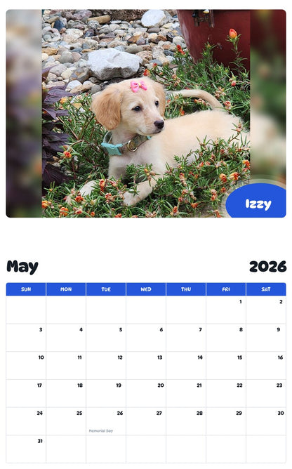 2026 - 2027 Izzy - Pawidols Pet Calendar