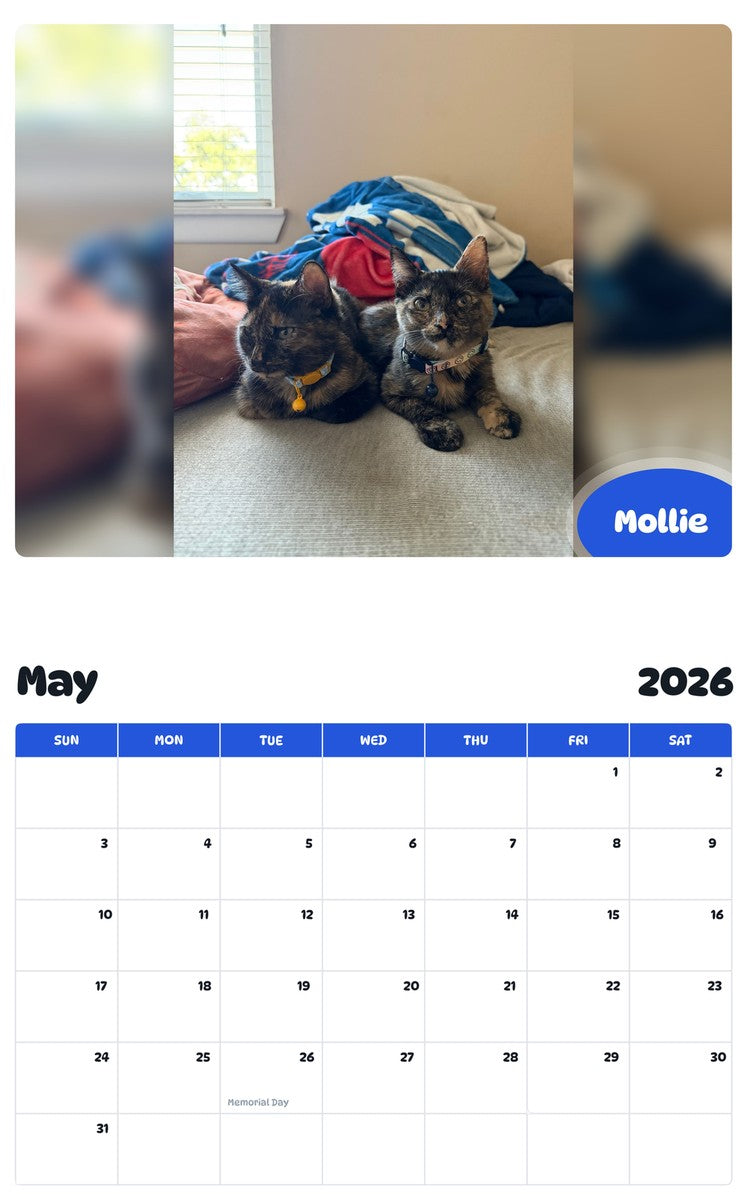 2026 - 2027 Mollie - Pawidols Pet Calendar