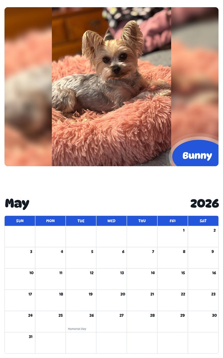 2026 - 2027 Bunny - Pawidols Pet Calendar