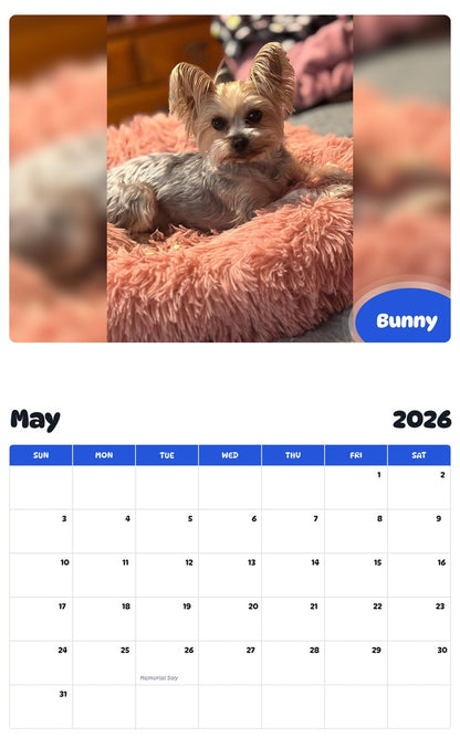 2026 - 2027 Bunny - Pawidols Pet Calendar