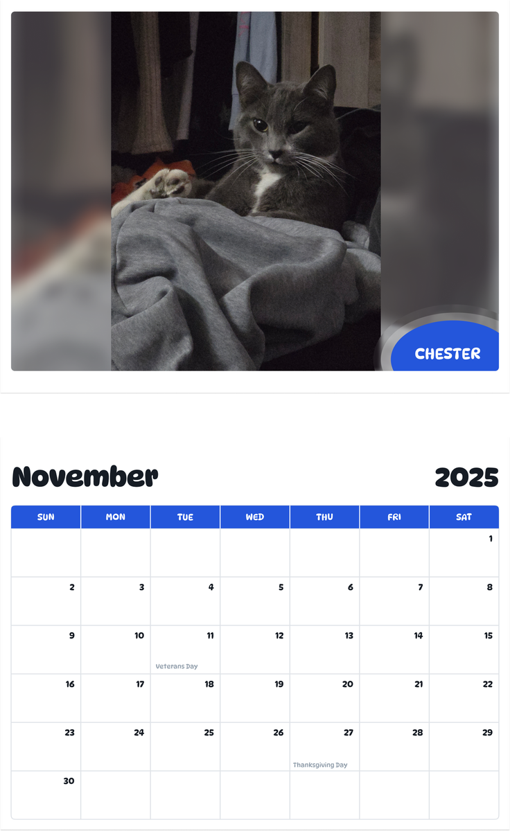 July 2025 - June 2026 Chester - Pawidols Pet Calendar