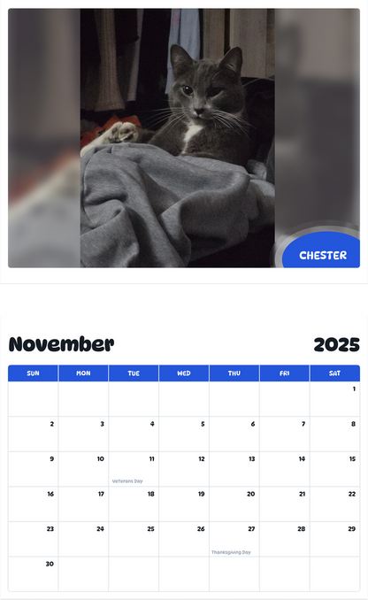 July 2025 - June 2026 Chester - Pawidols Pet Calendar