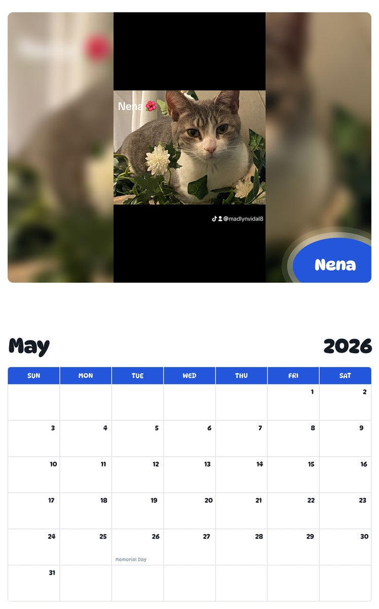 2026 - 2027 Nena - Pawidols Pet Calendar