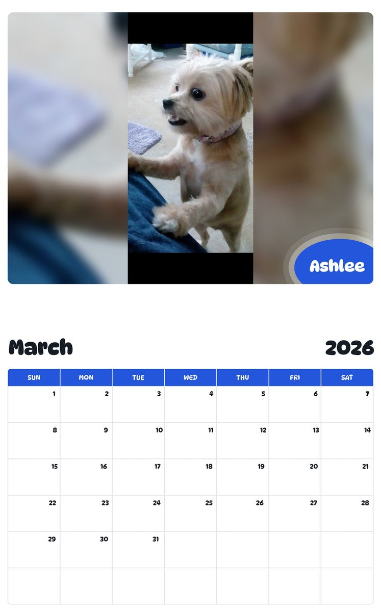 November 2025 - October 2026 Ashlee - Pawidols Pet Calendar