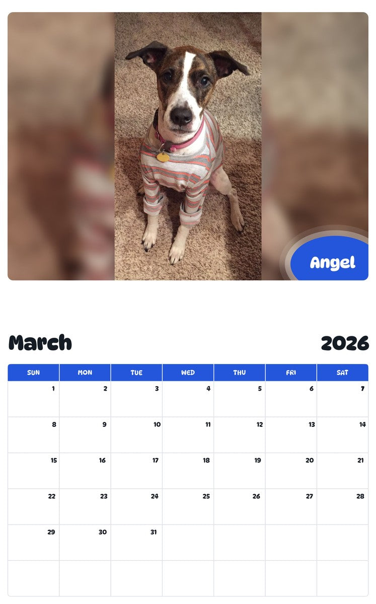 November 2025 - October 2026 Angel - Pawidols Pet Calendar