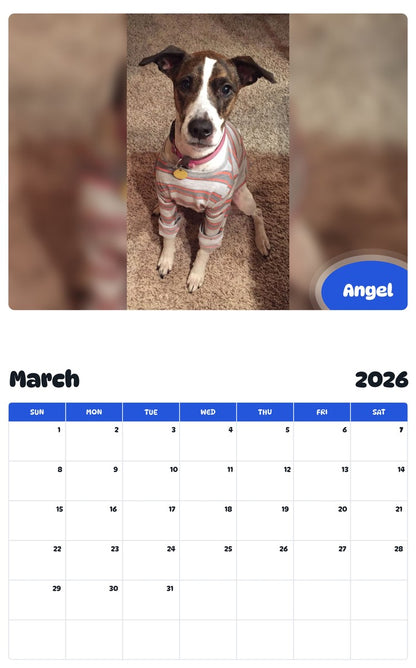 November 2025 - October 2026 Angel - Pawidols Pet Calendar