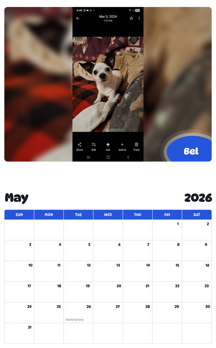 2026 - 2027 Bel - Pawidols Pet Calendar