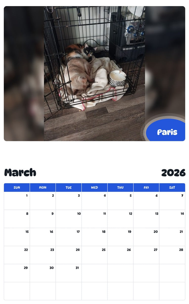 November 2025 - October 2026 Paris - Pawidols Pet Calendar