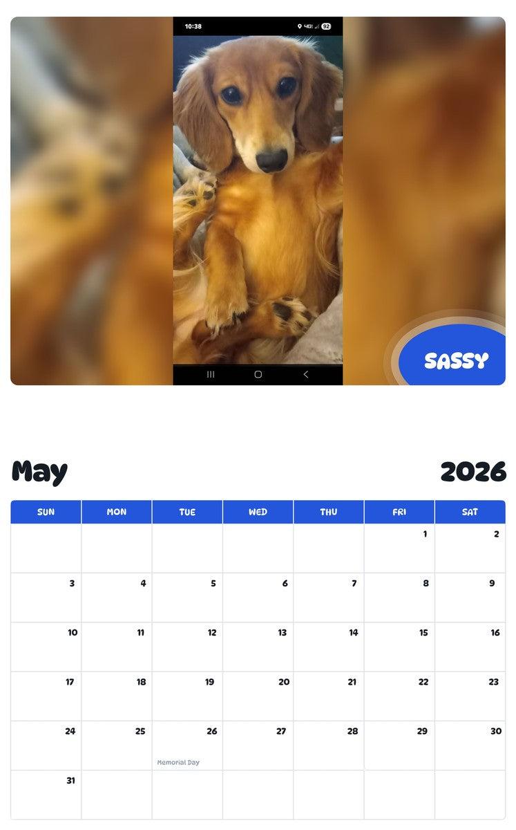 2026 - 2027 SASSY - Pawidols Pet Calendar