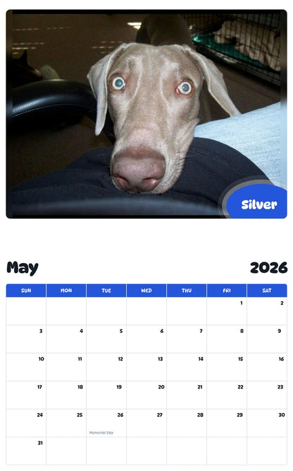 2026 - 2027 Silver - Pawidols Pet Calendar