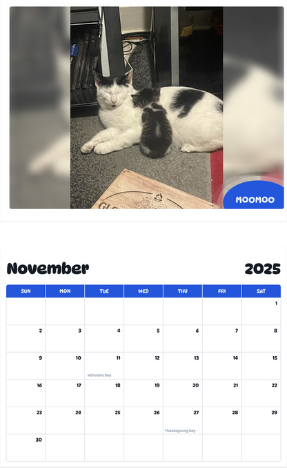 July 2025 - June 2026 Moomoo - Pawidols Pet Calendar