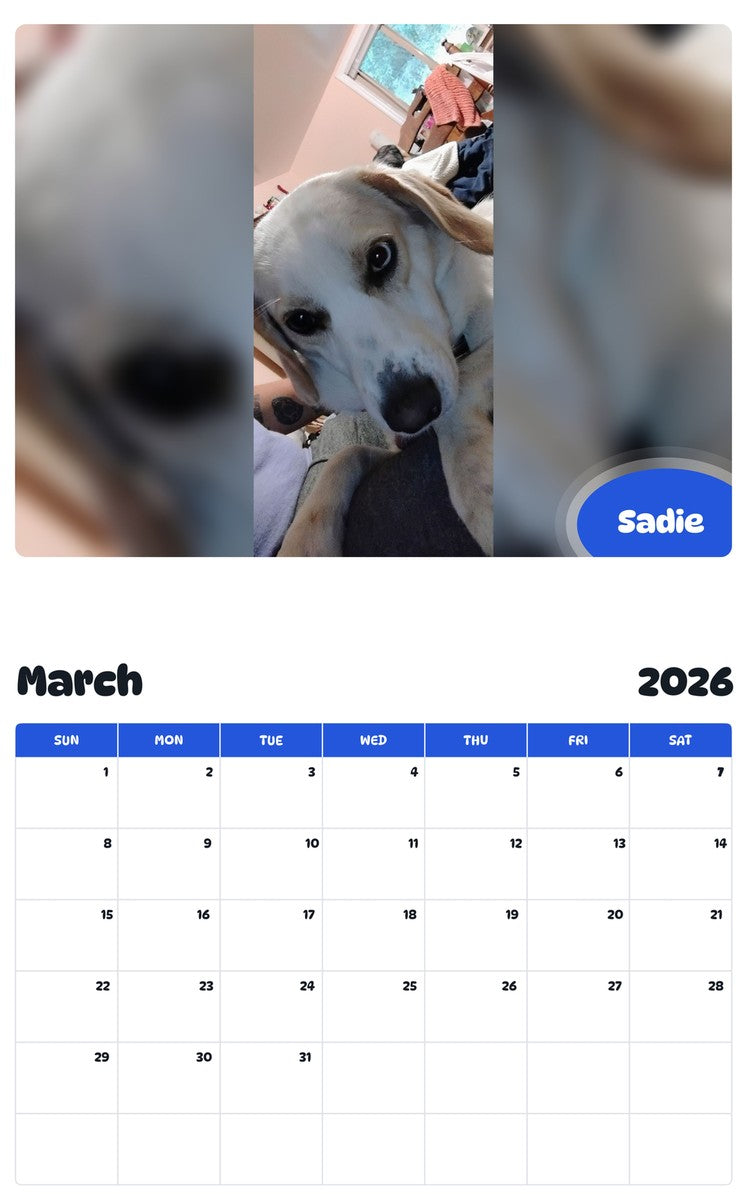 November 2025 - October 2026 Sadie - Pawidols Pet Calendar