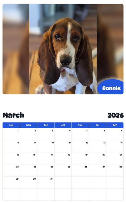 November 2025 - October 2026 Bonnie - Pawidols Pet Calendar