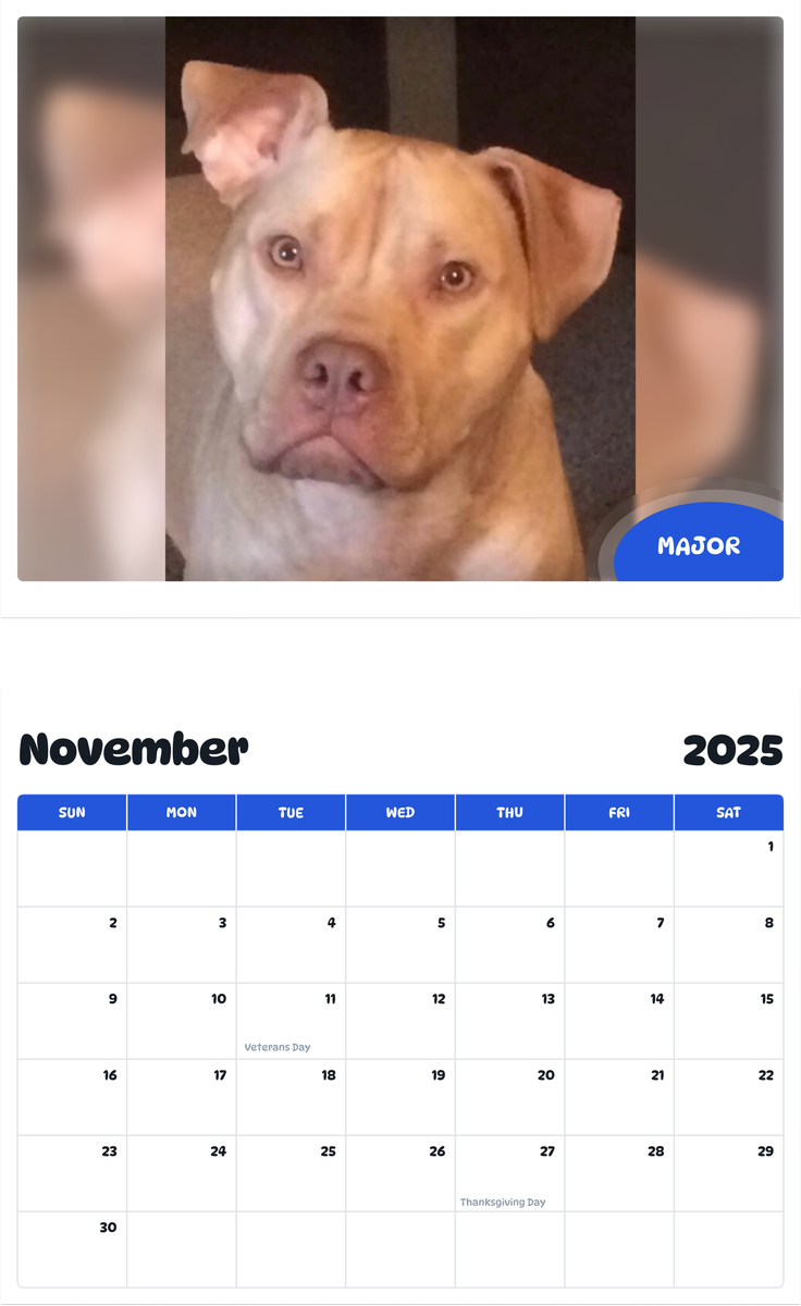 July 2025 - June 2026 Major - Pawidols Pet Calendar