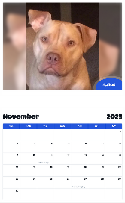 July 2025 - June 2026 Major - Pawidols Pet Calendar