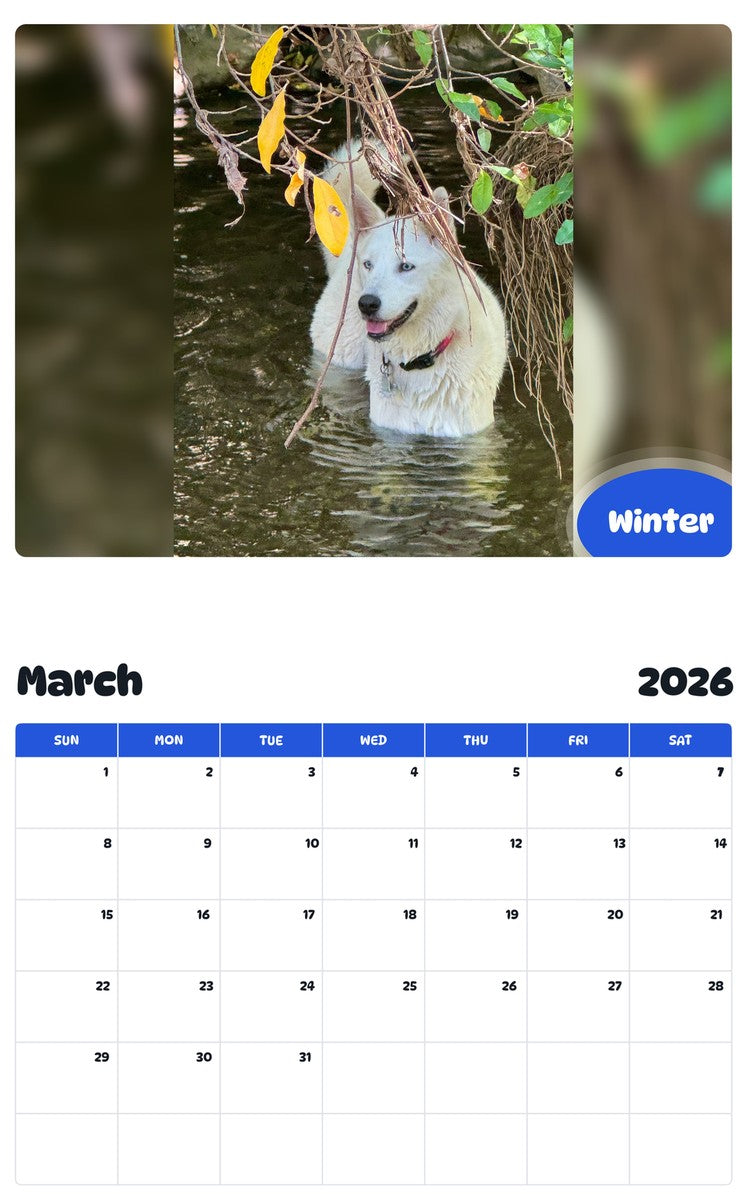 November 2025 - October 2026 Winter - Pawidols Pet Calendar