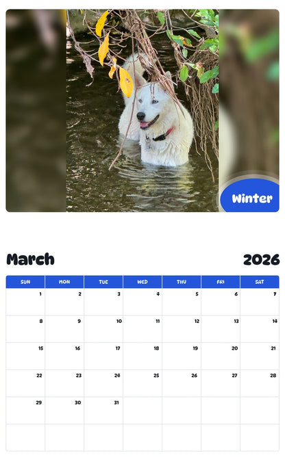 November 2025 - October 2026 Winter - Pawidols Pet Calendar