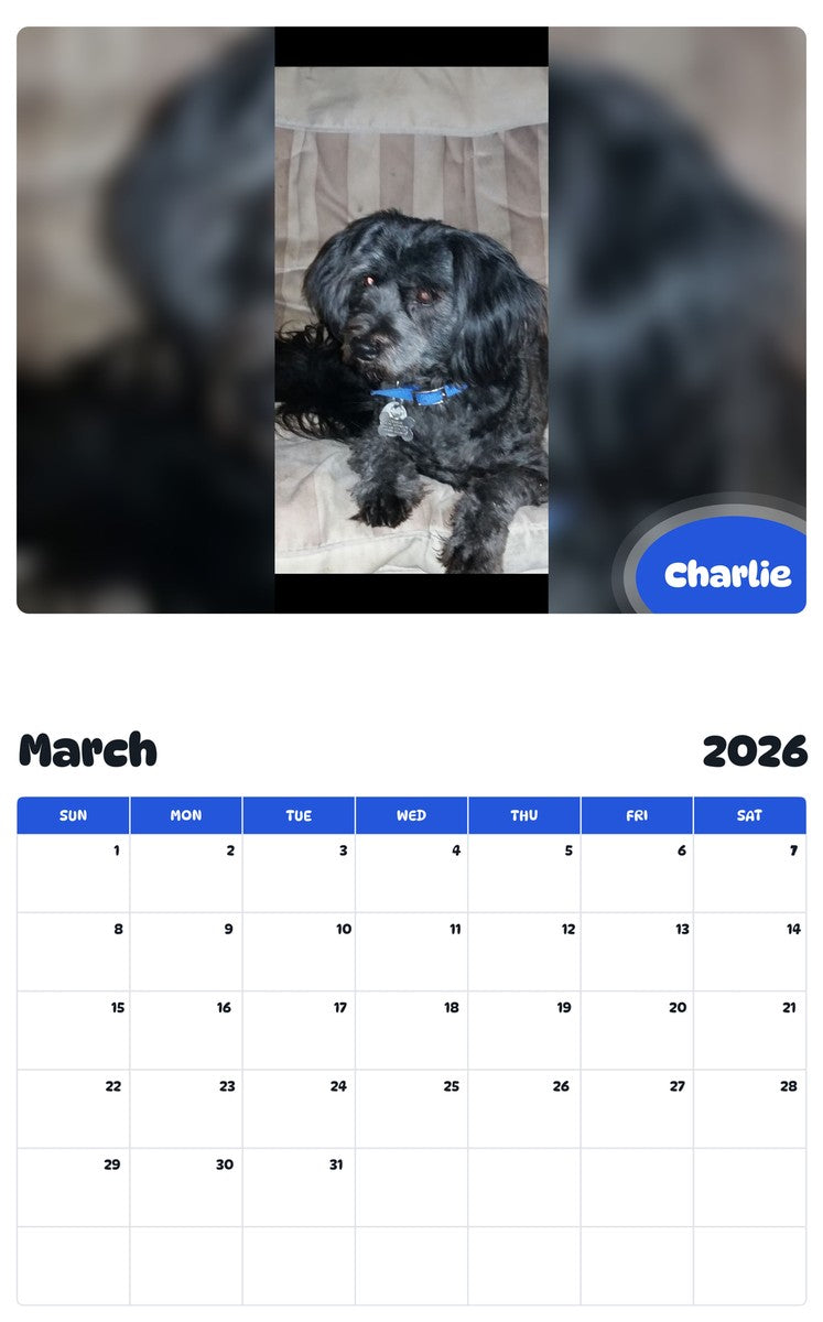November 2025 - October 2026 Charlie - Pawidols Pet Calendar