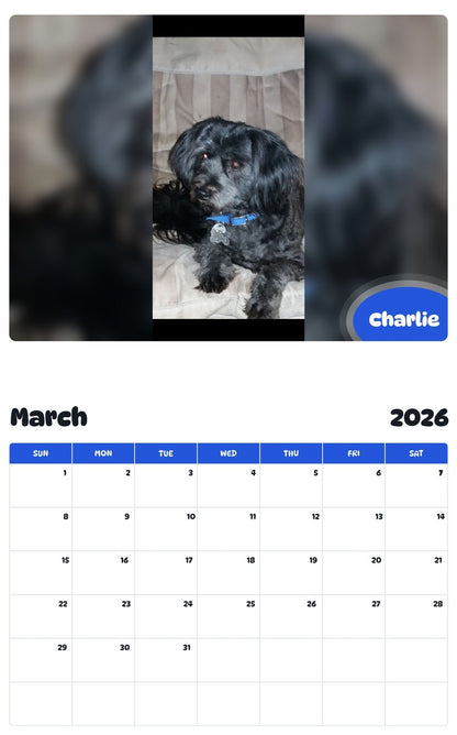 November 2025 - October 2026 Charlie - Pawidols Pet Calendar