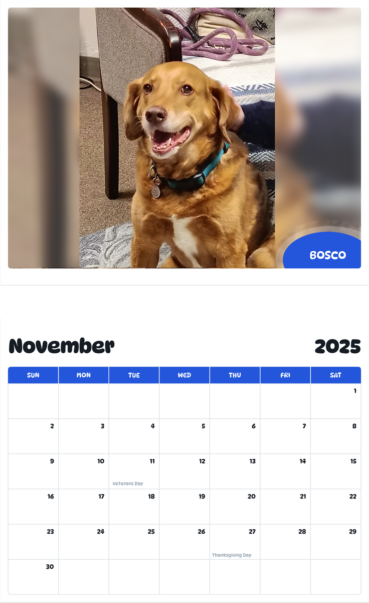 July 2025 - June 2026 Bosco - Pawidols Pet Calendar