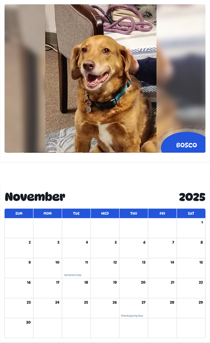 July 2025 - June 2026 Bosco - Pawidols Pet Calendar
