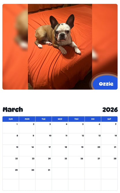 November 2025 - October 2026 Ozzie - Pawidols Pet Calendar