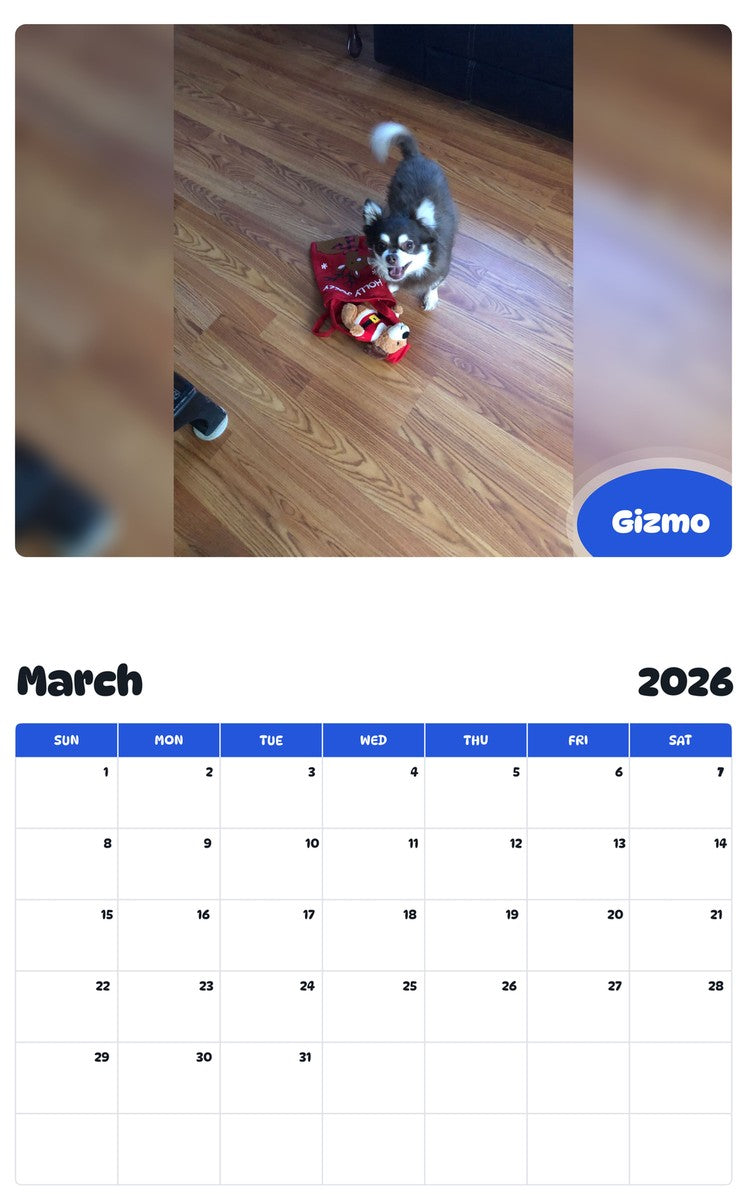 November 2025 - October 2026 Gizmo - Pawidols Pet Calendar