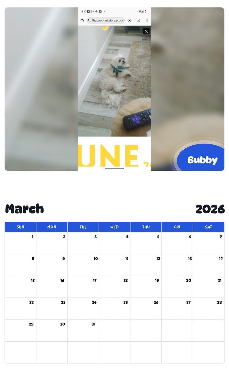 November 2025 - October 2026 Bubby - Pawidols Pet Calendar