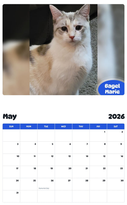 2026 - 2027 Bagel Marie - Pawidols Pet Calendar