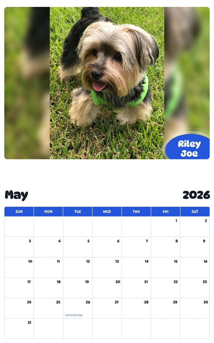 2026 - 2027 Riley Joe - Pawidols Pet Calendar