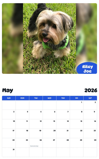 2026 - 2027 Riley Joe - Pawidols Pet Calendar