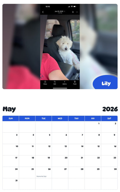 2026 - 2027 Lily - Pawidols Pet Calendar