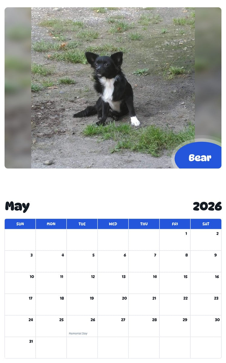 2026 - 2027 Bear - Pawidols Pet Calendar