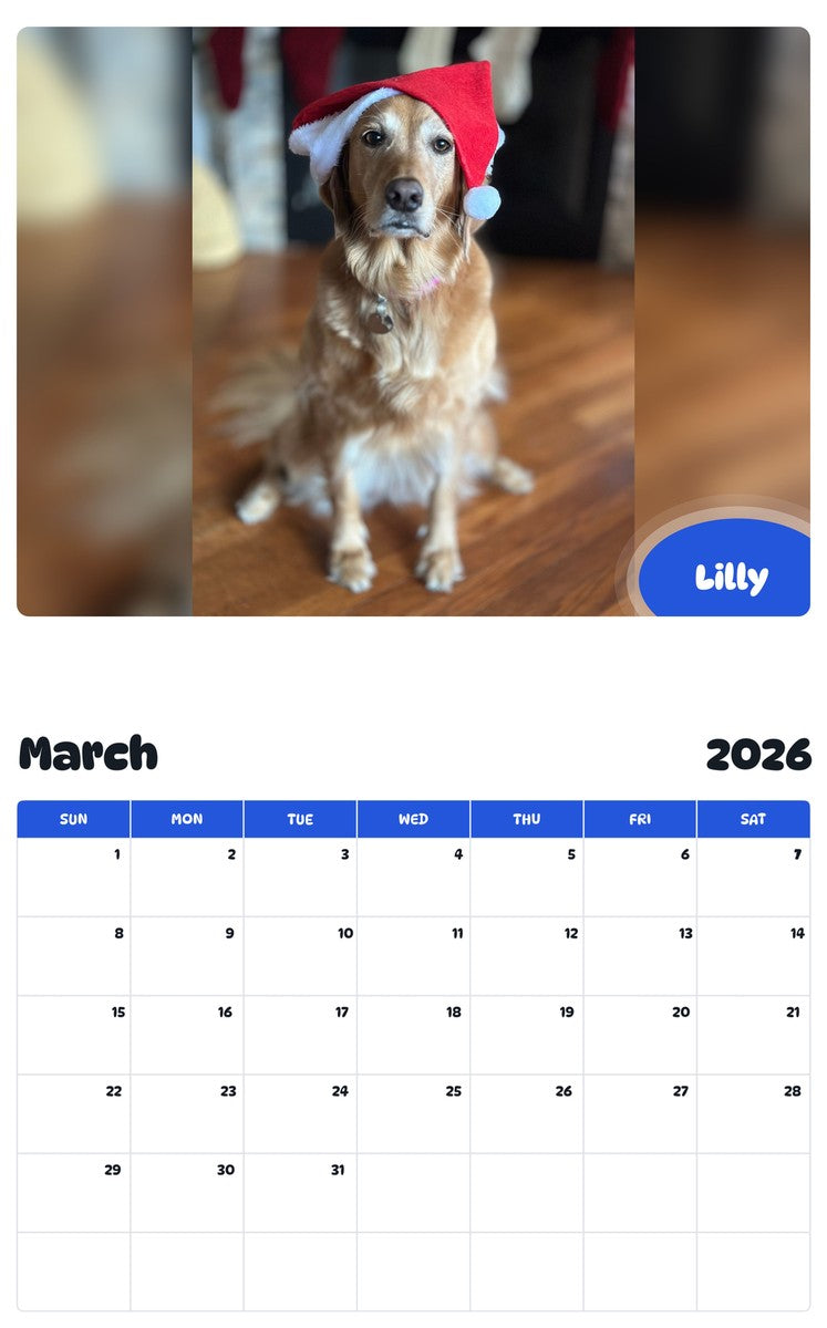 November 2025 - October 2026 Lilly - Pawidols Pet Calendar