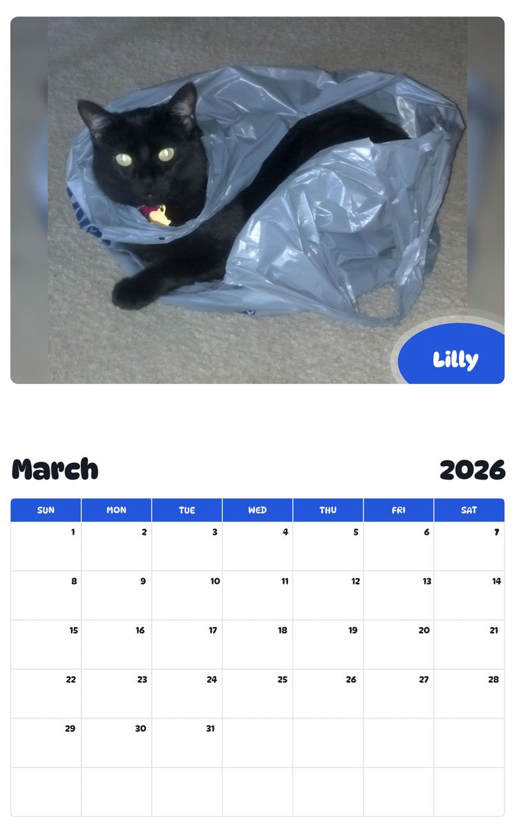 November 2025 - October 2026 Lilly - Pawidols Pet Calendar