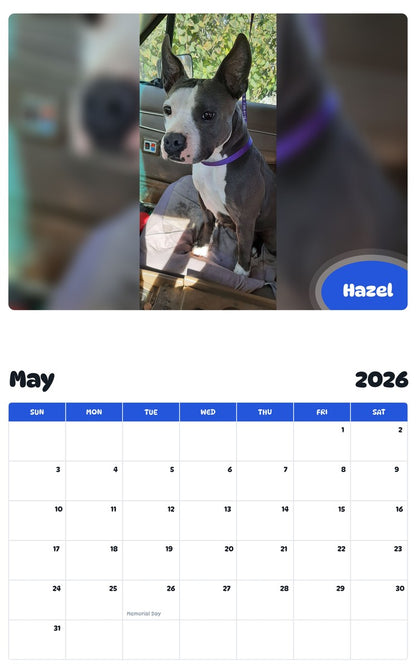 2026 - 2027 Hazel - Pawidols Pet Calendar