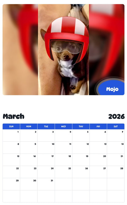 November 2025 - October 2026 Mojo - Pawidols Pet Calendar